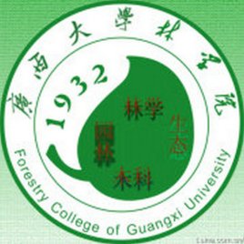 广西大学毕业证模板