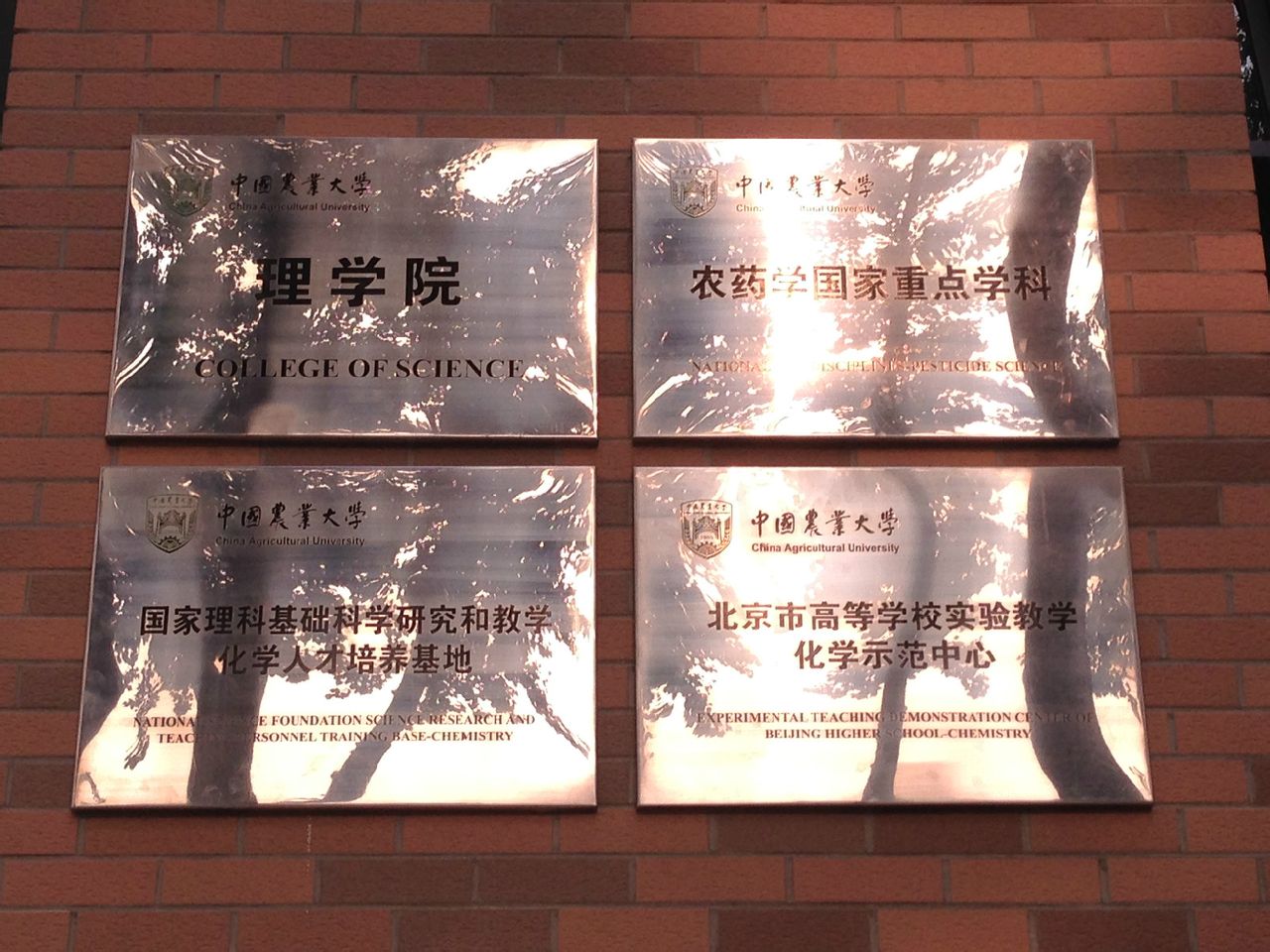 农业大学毕业证书