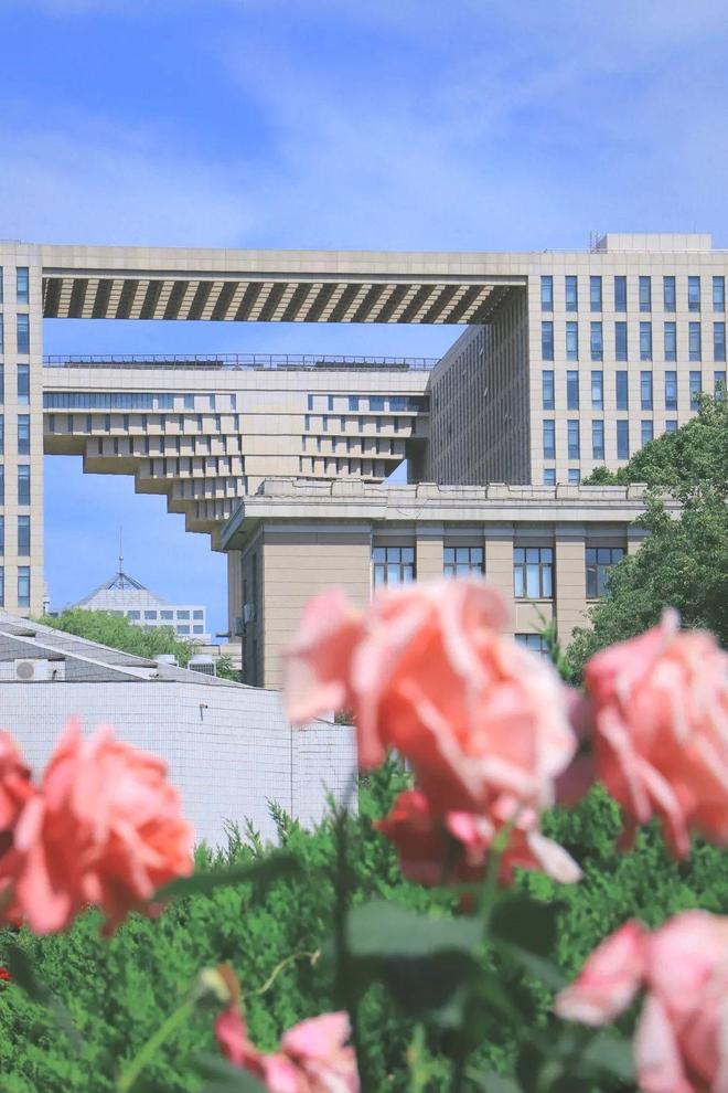 北京林业大学教务处