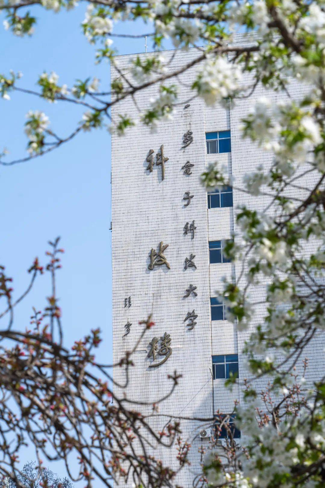 西安电子科技大学研究生招生官网